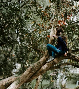 annie-spratt-EUfxH-pze7s-unsplash(1)